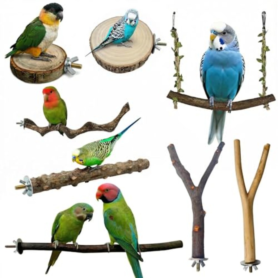 Health & Wellness Fair 2025 - 8PCS tempat bertengger burung dari kayu