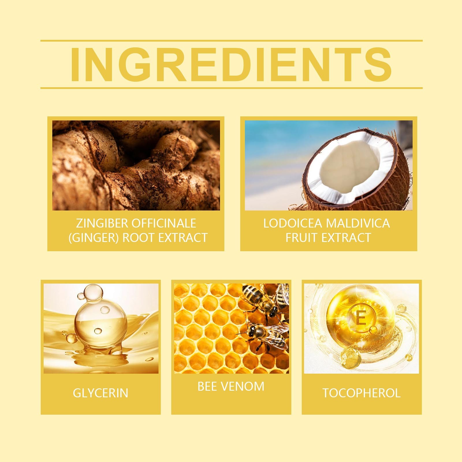 Bee Capsules Honey Bee supleme - Health Wellness Product ulasan dan harga