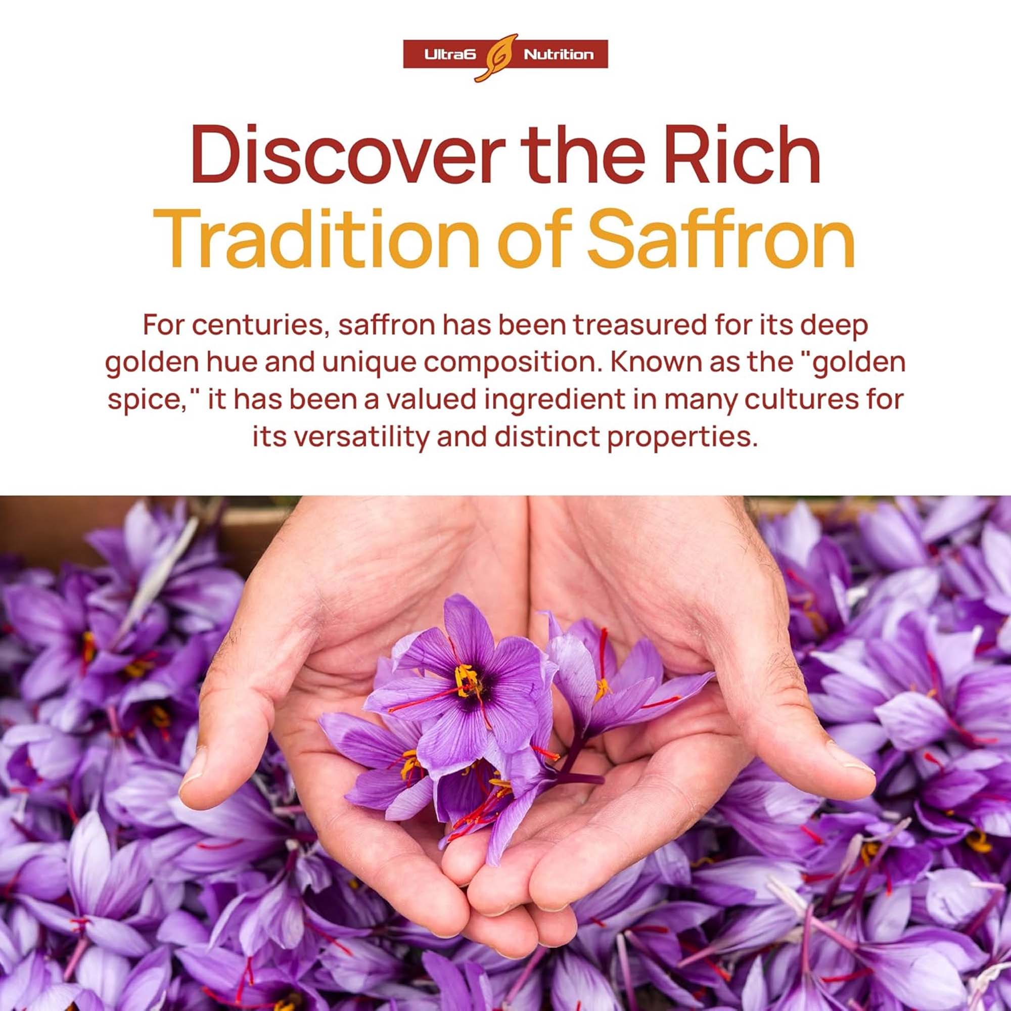 Kapsul Ekstrak Saffron, Suplem - Health And Wellness Promotion ulasan dan harga